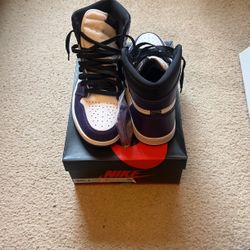 Jordan 1 High Purple Court Sz9.5