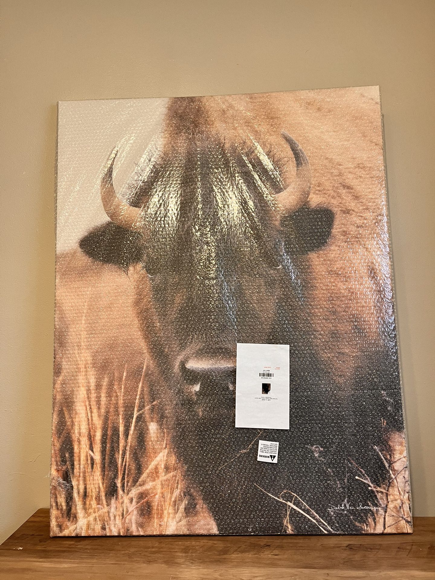 Canvas Painting