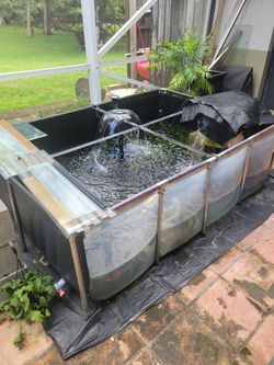 Tarp pond