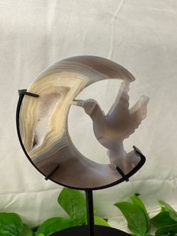 Crystal Hummingbird On Moon