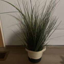 Living Room  decoration