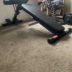Weights and Bench 