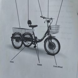 Motorized Three Wheeler