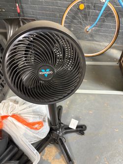 Fan
