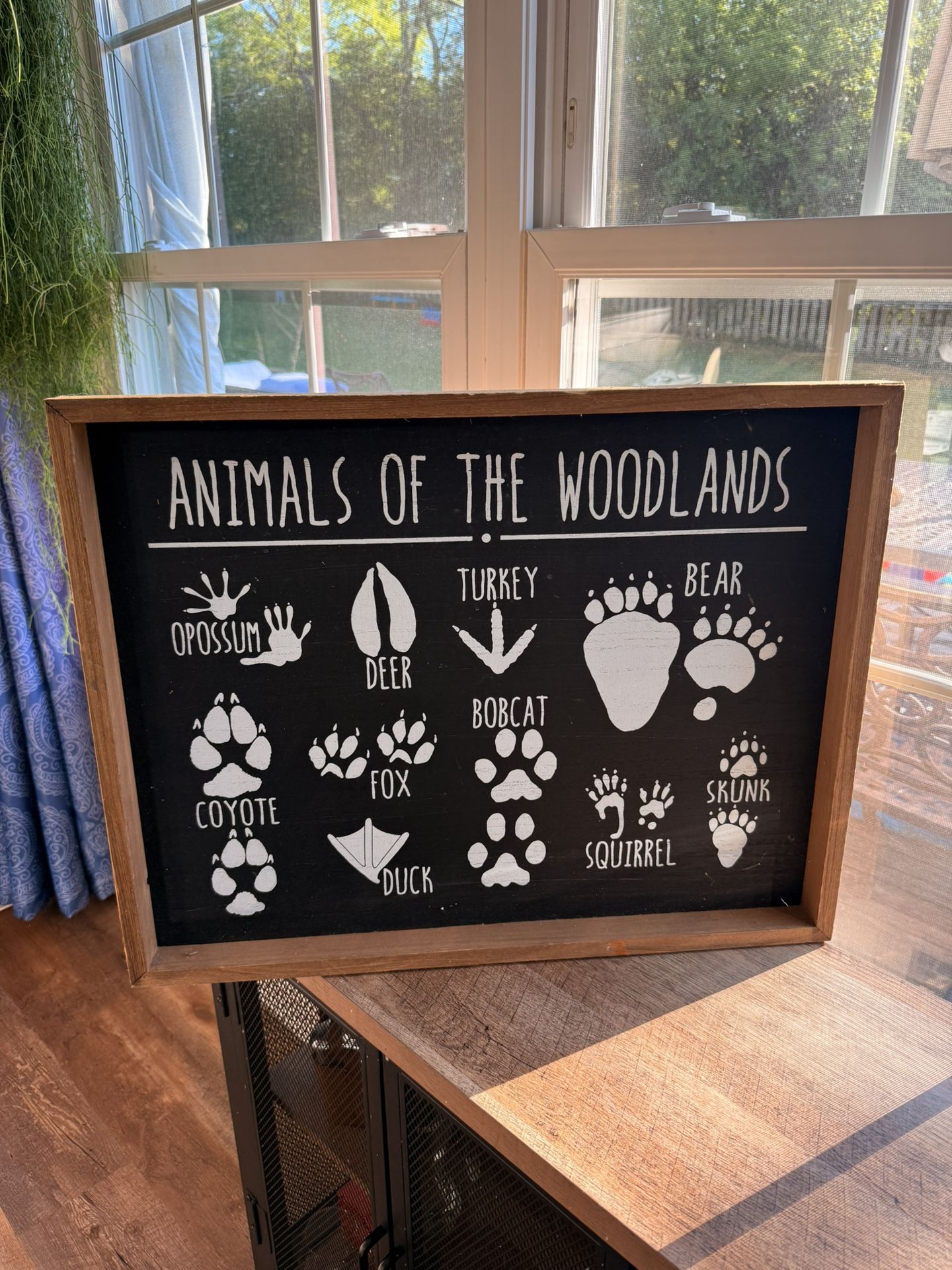 Animals Of The Woodland Wall Art