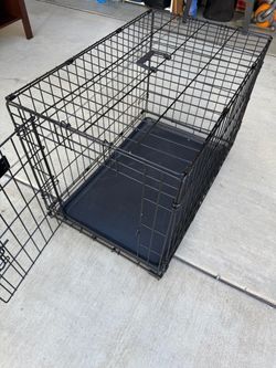 iCrate Medium Dog Crate with Cover