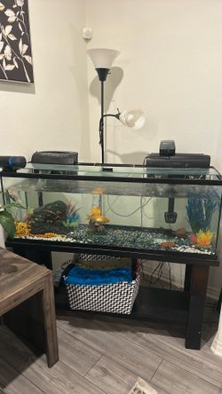 60 Gallons Aquarium tank