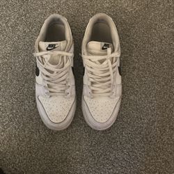 Nike Dunks 