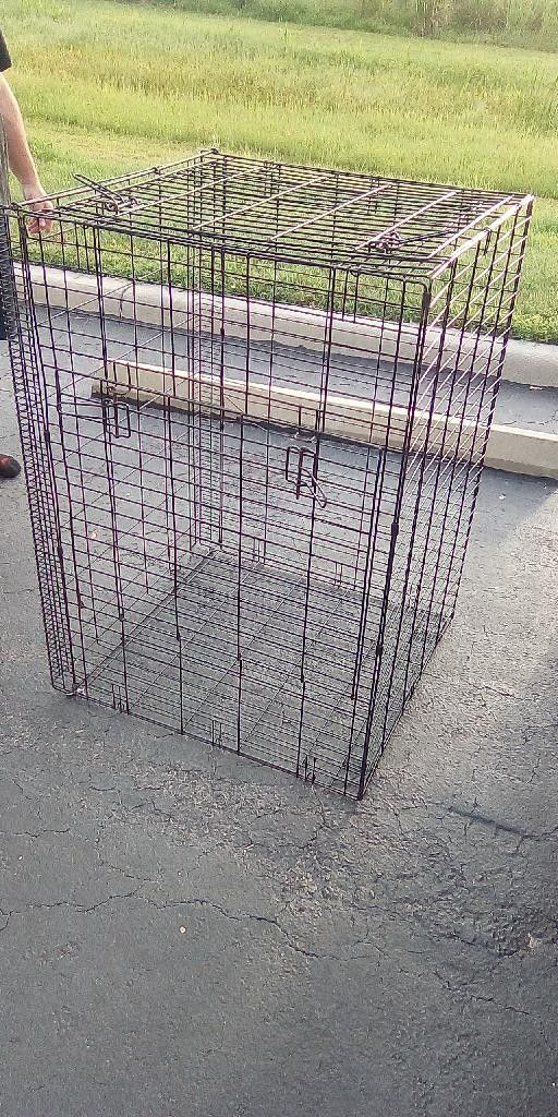 Large Dog Cage