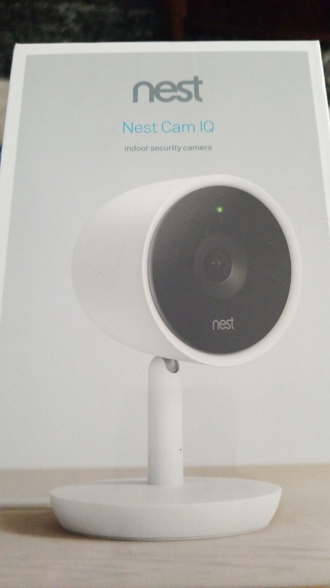 Nest cam IQ