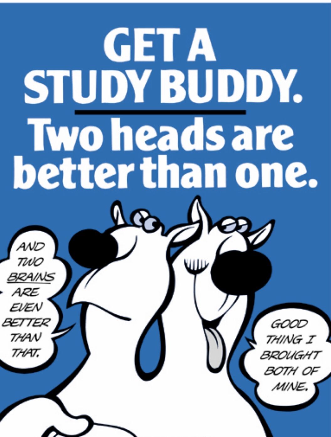 Study Buddy - Northridge araa - IR / XR