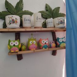Owl Stuff  All  2 Of They For Plants  Very Cute