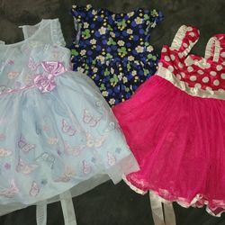 Toddler Girl Dresses 2T/3T