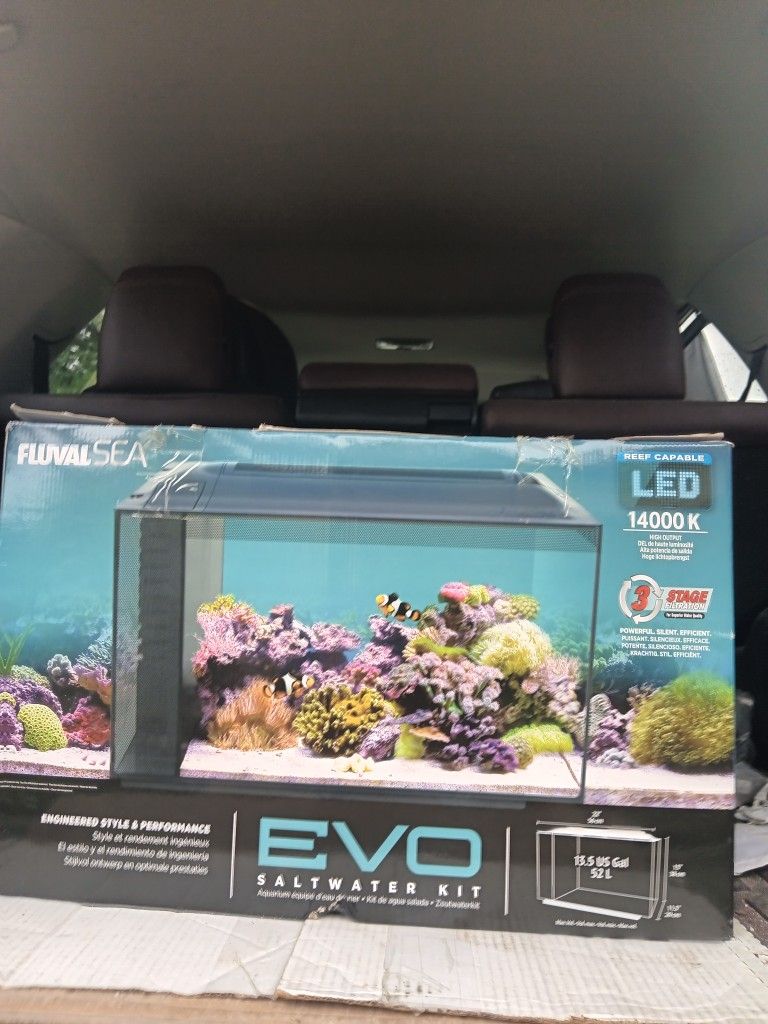 Fish tank
