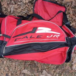 Dale Jr duffle Bag