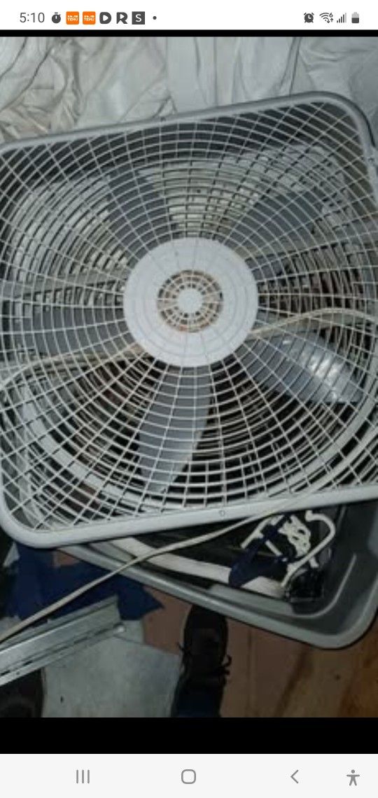 Great Condition Fans $10 White And $12 Purple