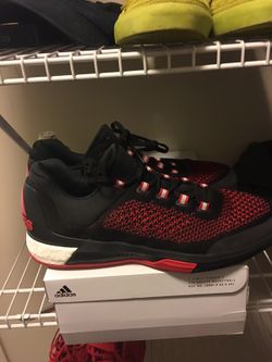Crazylight 2015 sz 12.5