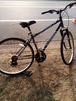 Schwinn merge