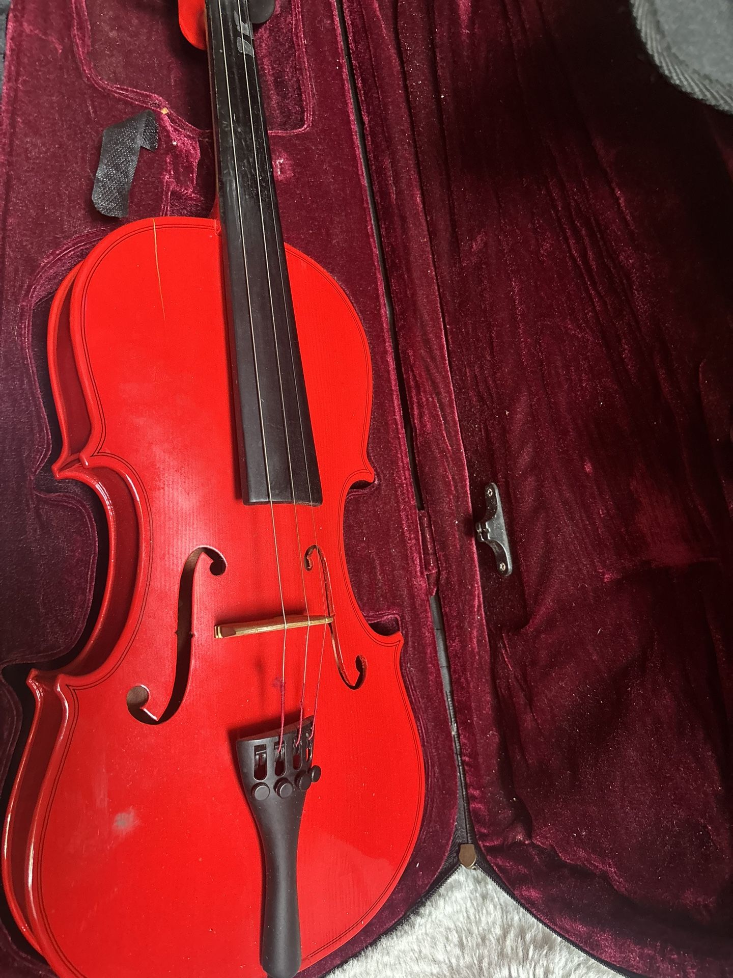 Violin