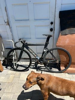 Throne Fixie