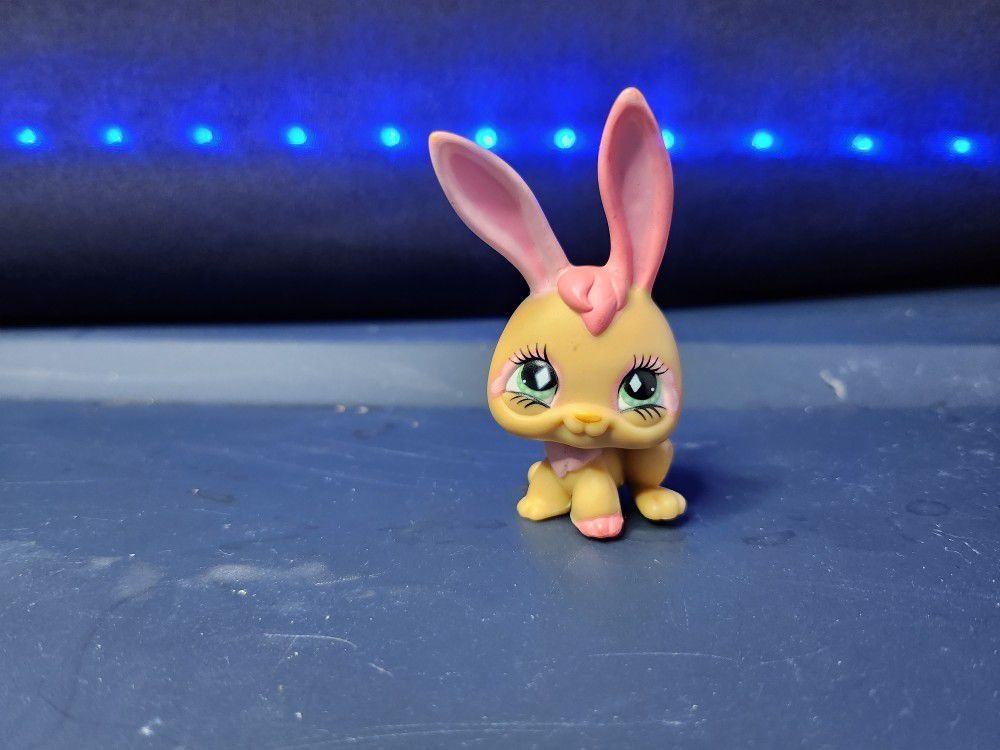 Bunny LPS #506 | Authentic Littlest Pet Shop