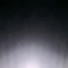 Foxxi