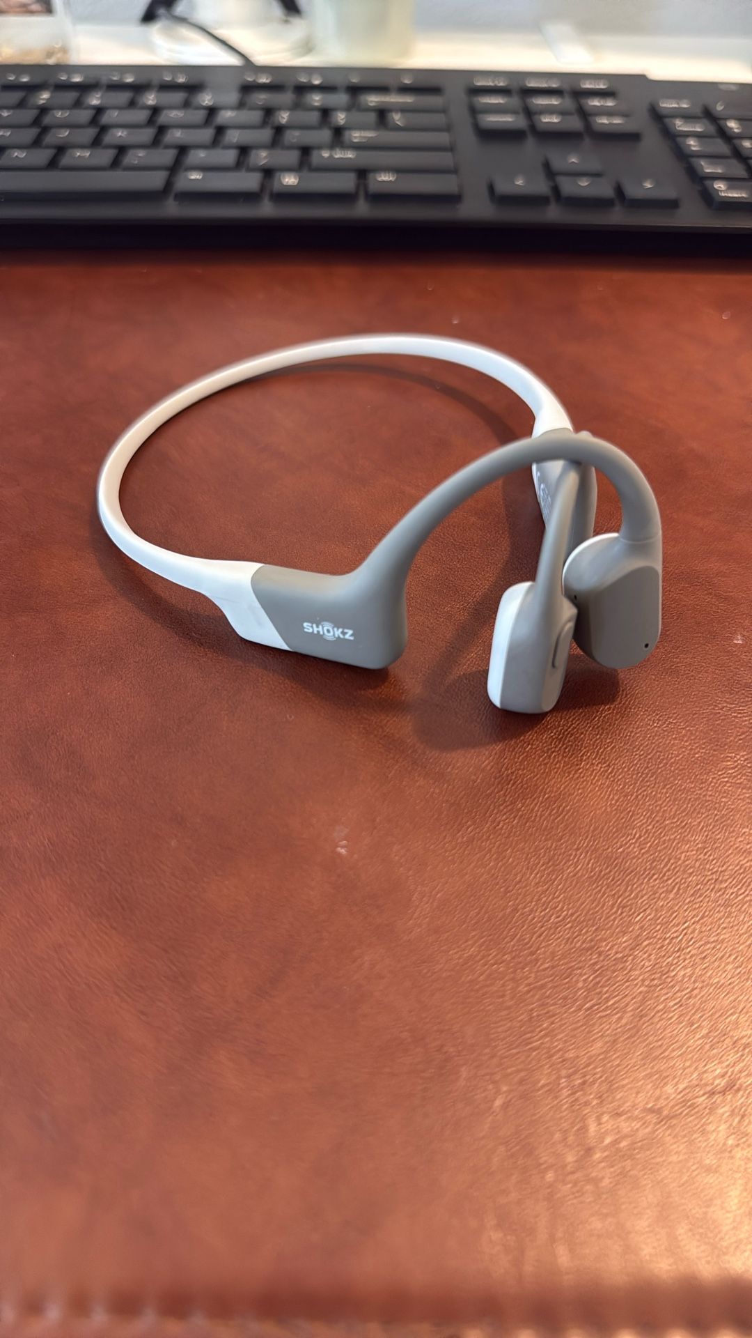 Shokz OpenRun Earphones