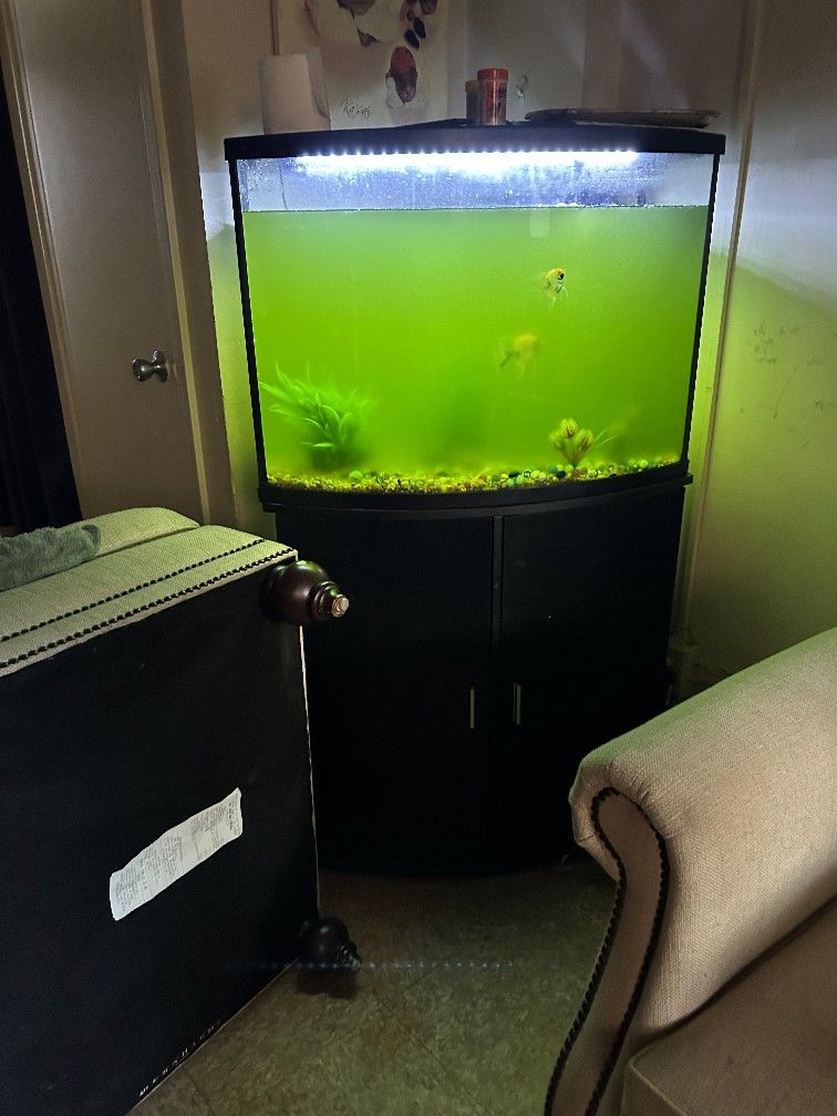 Fish Tank