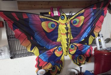 Large Butterfly Kite " Peacock "
