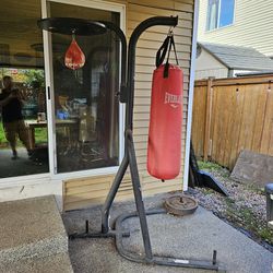 Punching Bag Set With two 45 Lb Olympic Weights- Trades Welcome