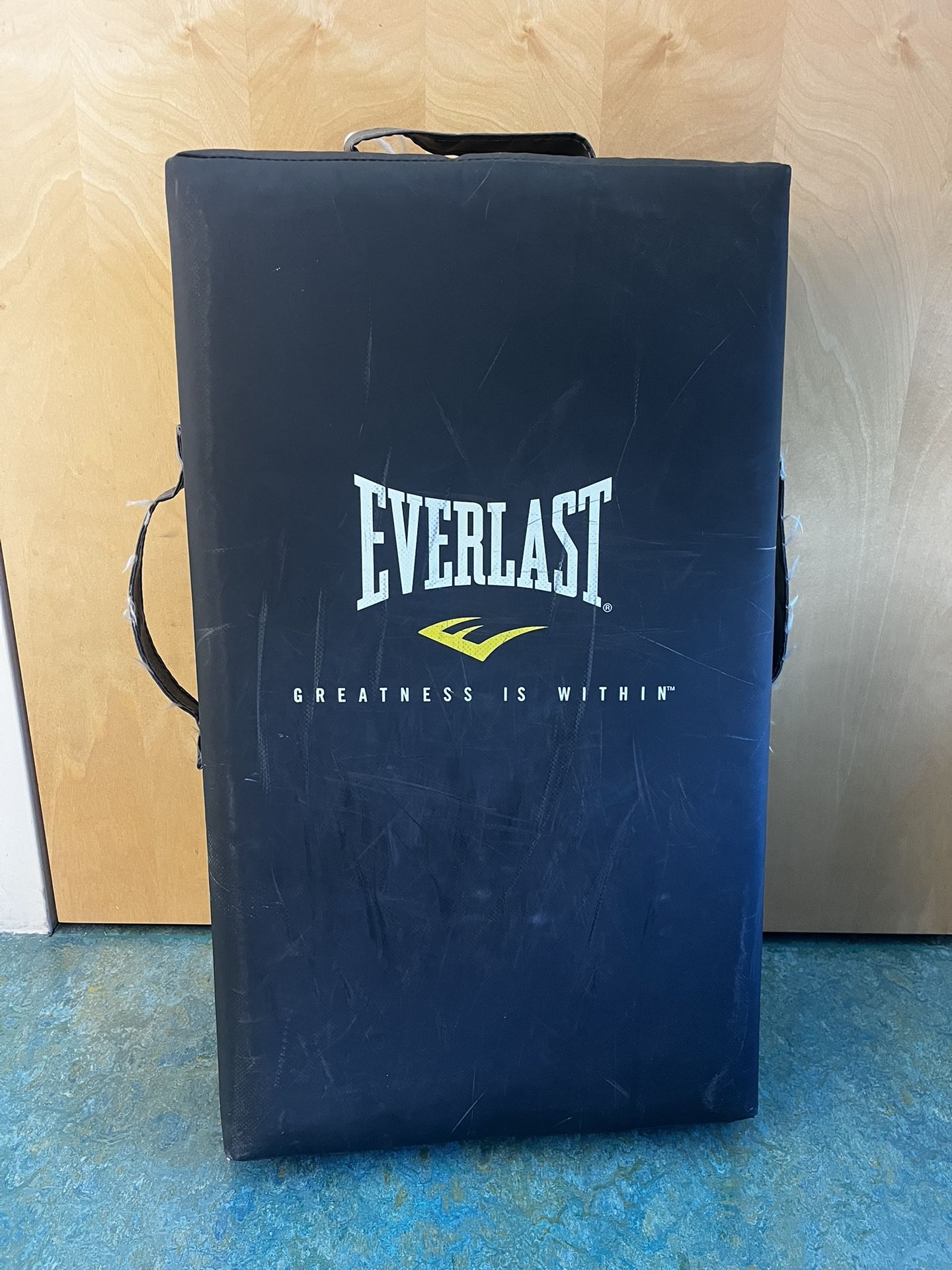 Everlast Punching Bag