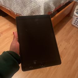 iPad