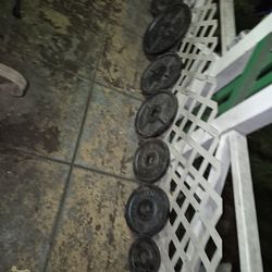 Olympic Weight Plates