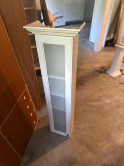 Wall/counter top cabinet
