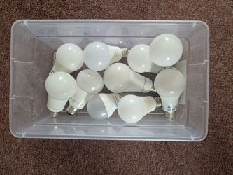 LED light bulbs