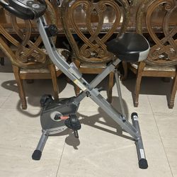 Exerpeutic  Exercise Bike