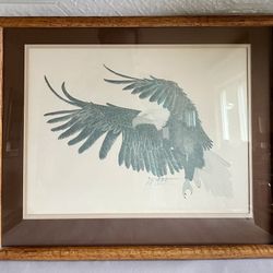Vintage Custom Framed Bald Eagle Sketch Signed By Artist 