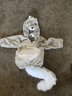 Squirrel Coatume