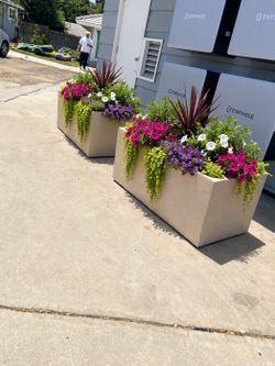 Rectangular planter , for sale $300 each one 36 x 18 high x 18 wide