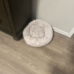 Cat plush Bed $10