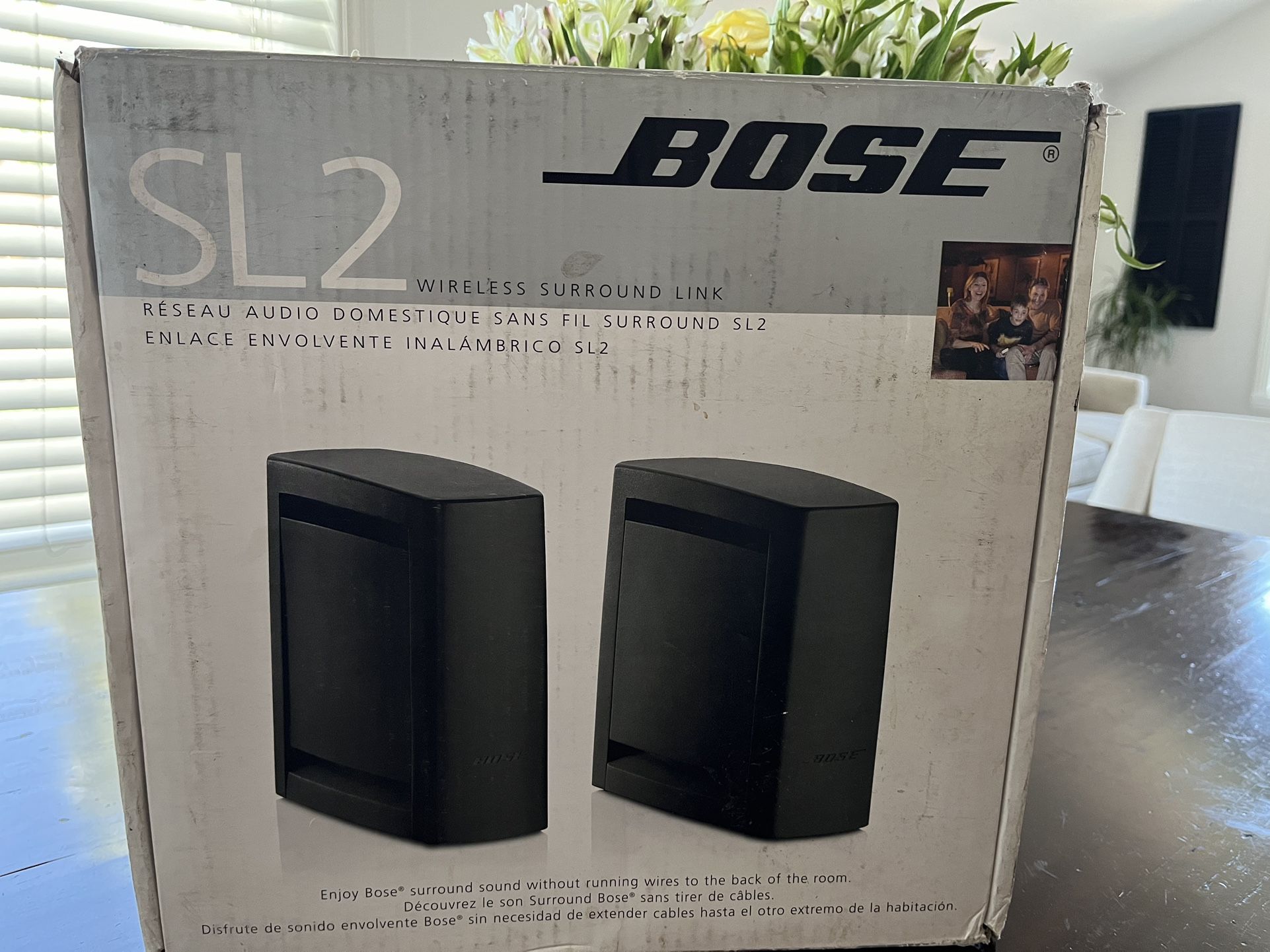Back Bose Theatre System BOSE Cinemate Series I Powered Speaker