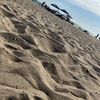 Cool Finds OC