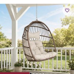 Never Opened Indoor/Outdoor Egg Chair Swing