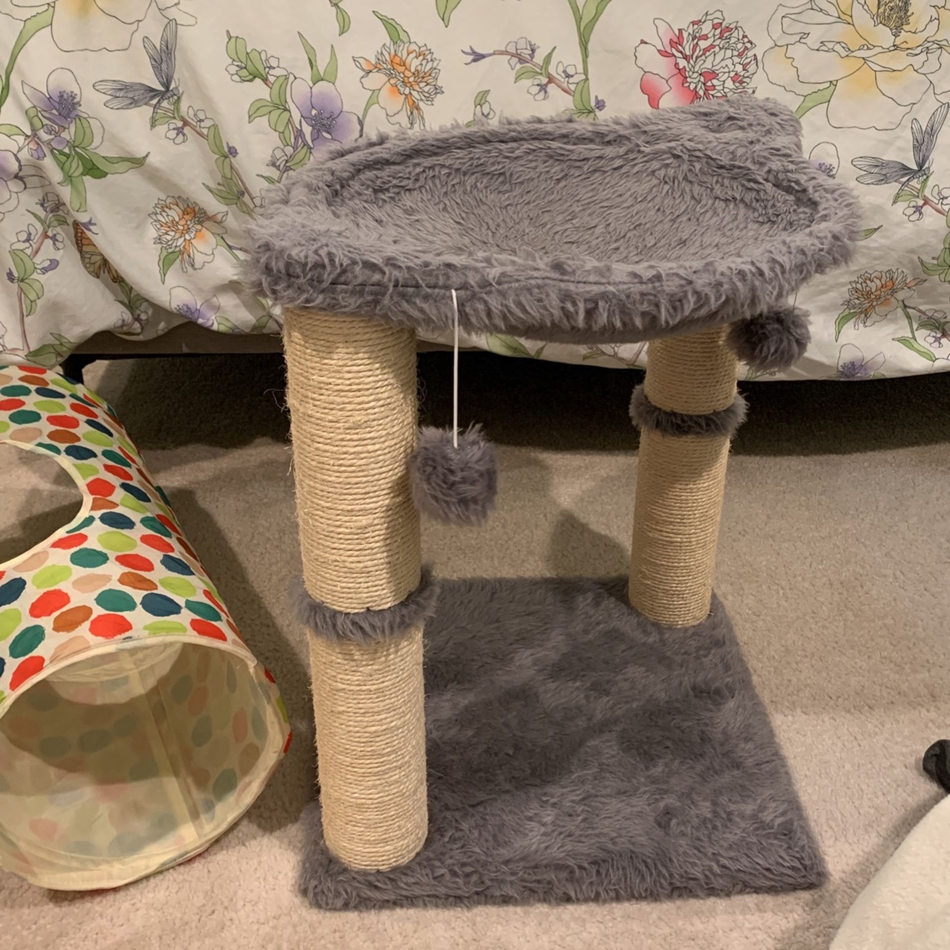 Cat Chair, Toys, and Two Tunnels 