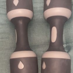 dumbbells premium pair 