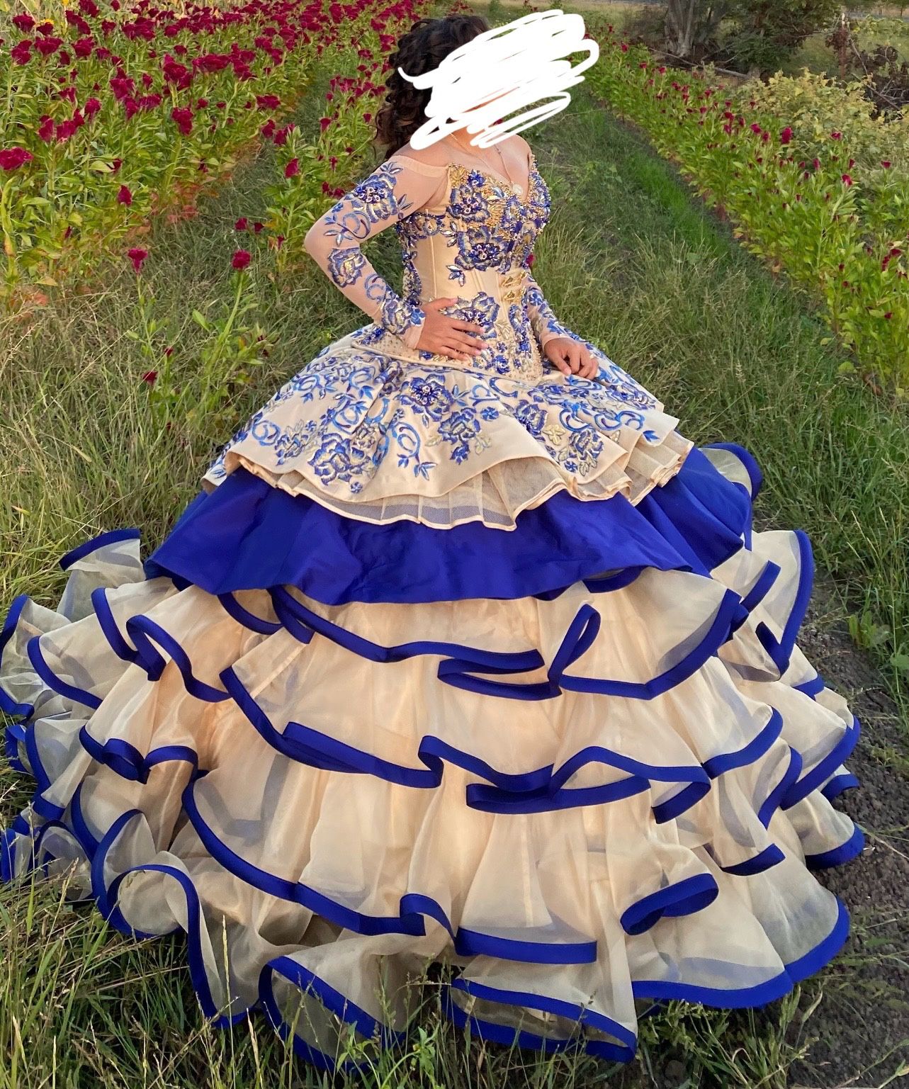 Vestido De Quinceañera / Quince Dress
