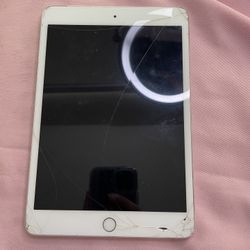 iPad Mini 