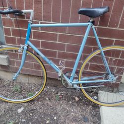 Large Frame Raleigh Technium Lightweight Singlespeed Roadbike W/ New Tires