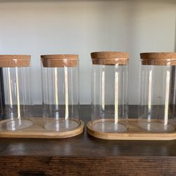 Plant Propagating Jars