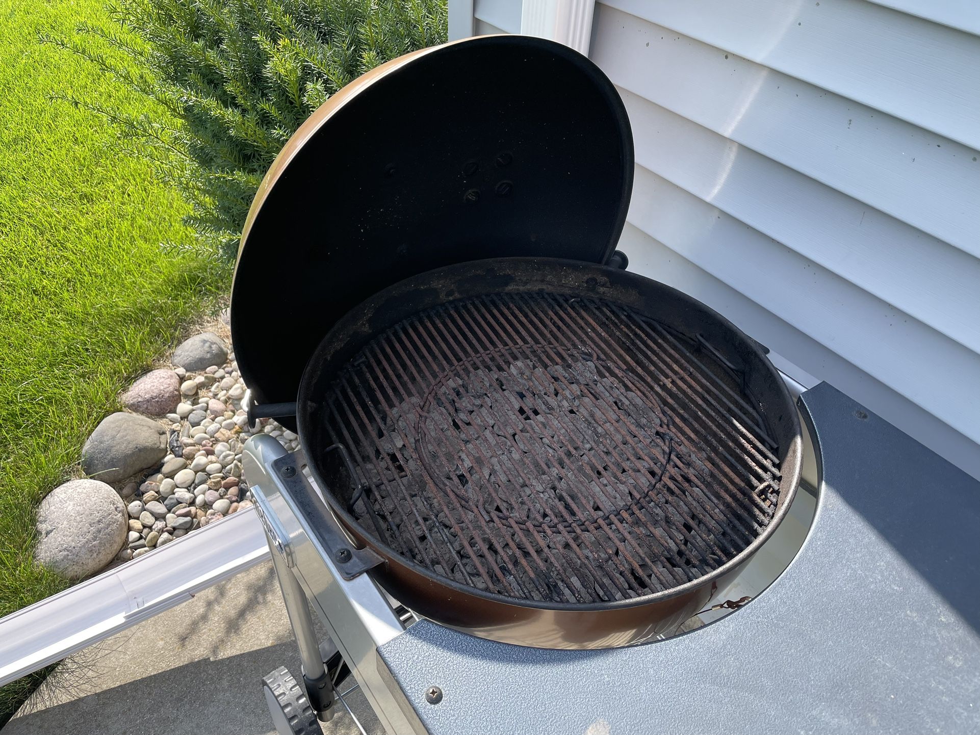 Weber Performer Charcoal Grill